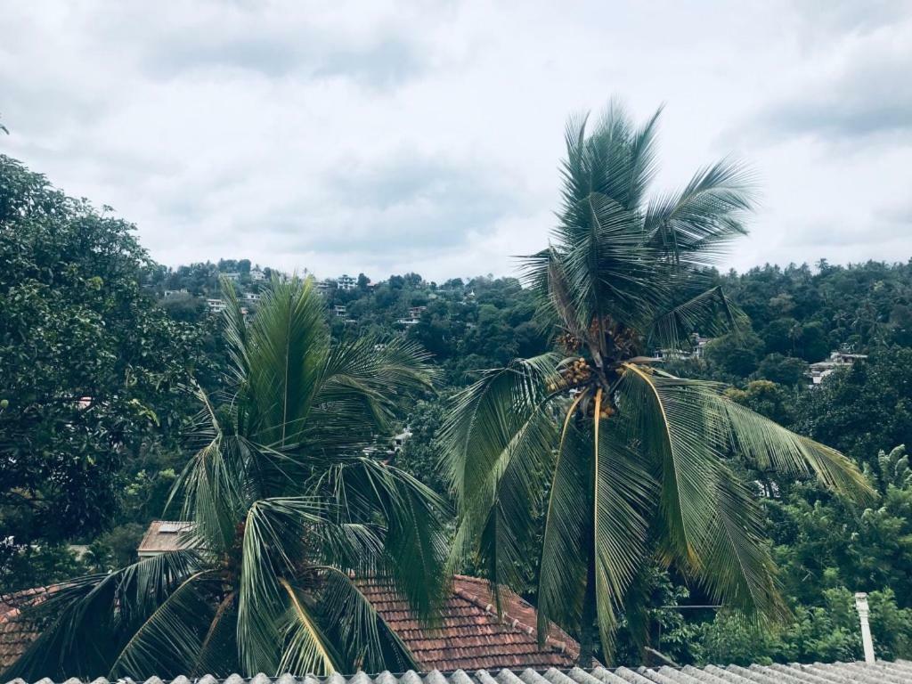 Luxury Apartment The Walkers Nest Kandy Luaran gambar